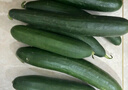 京喜加新鲜无刺水果小黄瓜小青瓜脆甜荷兰脆嫩生吃黄瓜蔬菜 泡沫箱装 4斤 实惠装 实拍图