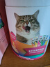 猫食品鱼油主食猫条15g*60条*3组 混合口味 实拍图