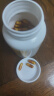 ISDG纳豆激酶胶囊4000fu疏通血管高降血脂血压中老年人90天量180粒/瓶 实拍图