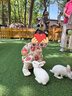 babylove宝宝短袖套装夏季竹棉山茶纱布薄款透气外出儿童清新家居服夏装 实拍图