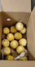 京鲜生 黄金百香果 3斤水果礼盒装 约18-21粒 单果约70g 酸甜 新鲜水果 实拍图