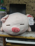 名创优品（MINISO）小猪B-BO弹力超柔趴姿毛绒公仔玩偶抱枕玩具娃娃女友生日礼物女 实拍图