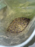 福茗源茶叶 野葛花茶 葛花茶葛藤花葛根粉解醒餐应酬茶饮养生茶袋装250g 实拍图