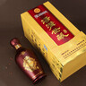 汤沟 世藏一代 浓香型白酒 42度/52度 节日送礼商务迎宾宴请江苏白酒 42度 500mL 6瓶 【低度整箱】 实拍图
