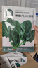 北蔬 大叶菠菜种子种苗秋四季播种蔬菜种籽 寒雄1号大叶菠菜种子200g 实拍图