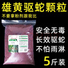 威拓森雄黄驱蛇粉强力防蛇长效硫磺驱蛇颗粒防蛇虫药家用户外神器硫黄粒 桶装5斤(驱蛇颗粒，防雨)送手套 实拍图
