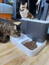 licheers领宠爱 猫碗 狗碗双碗猫食盆宠物自动饮水器防打翻狗盆 升级三碗 实拍图