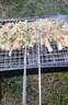 尚烤佳（Suncojia） 户外烧烤架 木碳烧烤炉 家用木炭烤炉 便携可折叠碳烤架 烤肉架 实拍图