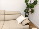 顾家家居政府补贴意式真皮沙发头层牛皮客厅简约轻奢大户型2025新款1523 【卡其色】3.1m丨肉感饱满丨可调靠头丨头层牛皮 宽大坐深丨贴合撑腰丨便捷收纳丨久坐不塌 实拍图