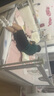 宝之轩床围栏床上护栏婴儿童床挡板宝宝防摔护栏垂直升降 【无缝设计】可爱熊 1.8m 单面装 实拍图
