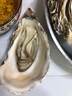 乳山牡蛎【源头直发】鲜活乳山生蚝2XL号净重5斤装 16-20只 海鲜烧烤食材 实拍图