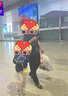意尔康男鞋透气镂空休闲皮鞋通勤商务打孔鞋 53429W黑色39 实拍图