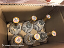 汾酒53度黄盖玻汾  清香型白酒 高度口粮酒  泡酒 53度 475mL 6瓶 整箱装非原箱 实拍图
