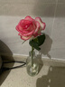 云南鲜花批发品质玫瑰百合水养鲜切花送女友生日礼物源头直发 玫瑰10枝-任意色 【任选2件—不收运費】 实拍图