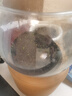 高清鱼缸 生态缸桌面溪流缸迷你金鱼缸小型水族箱养鱼龟缸PET 特大号鱼缸【超清8K高透/摔不碎/久用不糊】 实拍图