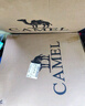 骆驼（CAMEL）户外露营折叠椅便携式靠背写生躺椅野营钓鱼凳克米特椅1J722C7586 实拍图