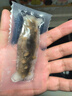 辽参 有机冷冻海参1斤19-21只 固形物85%以上 底播辽刺参 非即食 海鲜 实拍图