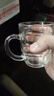 【⭐采销推荐】啤酒杯精酿扎啤杯套装玻璃杯家用冷饮杯酒杯带把手 菠萝啤酒杯1个255ML 实拍图
