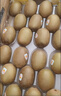 佳沛（zespri）新西兰  阳光金奇异果巨大果22粒原箱 单果重约144-175g 猕猴桃 实拍图