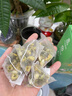 参庆堂国药药材三花茶 金银花菊花茉莉花茶50g 独立茶包 搭去火清热解毒 实拍图