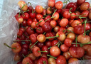京觅 大连樱桃美早车厘子 J级净重2.8斤 单果8-10g 水果源头直发 实拍图