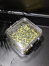 匠界养生茶莲子心125g精选莲子芯泡水喝的养生熬夜茶可搭配菊花茶去火 实拍图