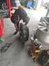 固特异（Goodyear）汽车轮胎 225/60R16 98V EXCELLENCE 三能 适配雪铁龙 实拍图