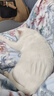 红狗猫维生素B族片200片*3瓶 猫多维猫咪维生素猫咪复合维B猫藓 实拍图