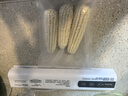 美的（Midea）真空封口机 家用小型全自动真空包装机食品塑封机 干湿两用压缩机 真空保鲜打包机KF12 实拍图