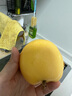 黄金油桃4粒750g 实拍图