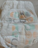 好奇（Huggies）心钻装小森林拉拉裤XXXL28片(17kg以上)加加加大号夏季超薄 实拍图