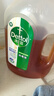 滴露（Dettol）消毒液衣物除菌液洗衣消毒水1.8L杀菌除螨 家居宠物消毒除菌  实拍图
