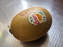 佳沛（zespri）新西兰  阳光金奇异果25-27粒原箱特大果单果约122-146g  猕猴桃 实拍图