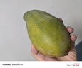 三亚芒果  海南芒果新鲜水果生鲜整箱当季大青皮芒 热带孕妇芒果 10斤装(净果8.5-9斤)单果300g+ 实拍图