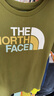 THE NORTH FACE北面童装男女童纯棉短袖T恤户外透气春夏|88ME PIB/绿色 薄款 160 XL（160/76） 实拍图