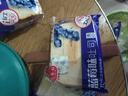 兰象岩蓝莓味夹心吐司面包懒人速食整箱零食营养早餐休闲食品S 10包/500g（共20片） 实拍图