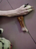 迪普尔 狗咬胶磨牙棒狗狗零食牛皮压骨狗大骨头耐咬洁齿金毛大小型犬* 6寸6支装（适合30斤以下狗狗） 实拍图