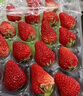 【产地直采】丹东红颜草莓大果500g 单果18g+ 实拍图