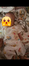 舒贝怡2件装婴儿衣服夏季薄款新生儿连体衣短袖哈衣儿童爬服粉色90CM 实拍图