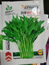 蔬菜种子四季播盆栽阳台庭院香菜生菜菠菜萝卜葱简单易种籽孑大全 四季柳叶空心菜约50粒 实拍图