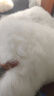 羊皮褥子皮毛一体加厚整张绵羊长毛学生宿舍单双人防潮保暖床褥冬 绵羊毛（原色） 90x200cm 实拍图