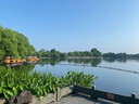 英氏（Engnice）婴幼儿果裹泡芙樱桃草莓味 婴儿零食泡芙条宝宝辅食零食40g 实拍图