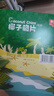 春光食品 海南特产 椰子脆片360g 椰子肉水果干办公室休闲零食60g*6袋 实拍图