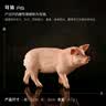玛奇乐（MECHILE）仿真牧场动物模型玩具套装农场家禽小鸡鸭鹅兔子猫狗马驴奶牛绵羊 母猪 实拍图