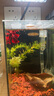 尼奥光 NEO-HELIOS鱼缸灯水草灯LED灯S3proRGB植物光谱 8W新款尼奥S3pro【高亮自然版 双倍亮度】 实拍图