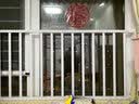 诺锐俊儿童防护栏窗户免打孔防盗网安全室内阳台飘窗防盗窗家用自装栏杆 实拍图