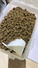 愛肯拿（ACANA）猫粮 海洋盛宴成猫幼猫粮 全价通用无谷进口鱼肉粮5.4kg效期26/2 实拍图