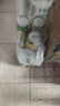名仁（MINGREN） 苏打水整箱24罐汽水气泡水无糖饮料气泡水0糖0脂0卡 洋酒搭档，调饮推荐 柠檬味24罐 实拍图