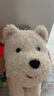 babycare&bctoys儿童毛绒玩具狗电子哈基米宠物玩偶节日生日礼物西高地犬 实拍图