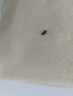 京鲜生 阳光玫瑰葡萄 青提2-2.5斤装 单果约10g 生鲜水果 实拍图